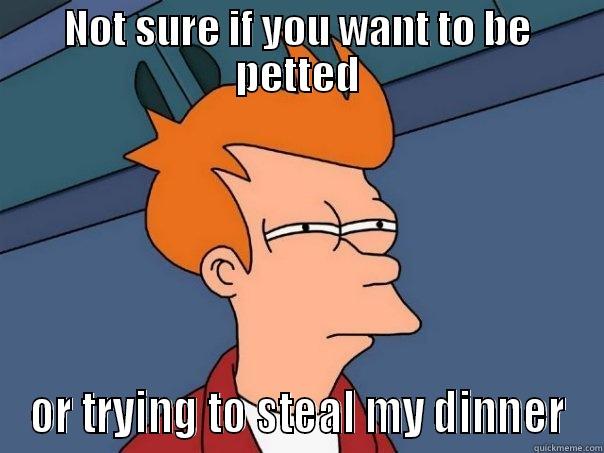 NOT SURE IF YOU WANT TO BE PETTED OR TRYING TO STEAL MY DINNER Futurama Fry
