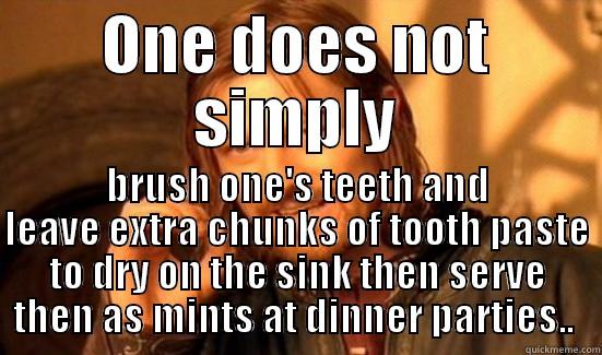 ONE DOES NOT SIMPLY BRUSH ONE'S TEETH AND LEAVE EXTRA CHUNKS OF TOOTH PASTE TO DRY ON THE SINK THEN SERVE THEN AS MINTS AT DINNER PARTIES..  Boromir