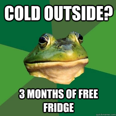 Cold outside? 3 months of free fridge  Foul Bachelor Frog