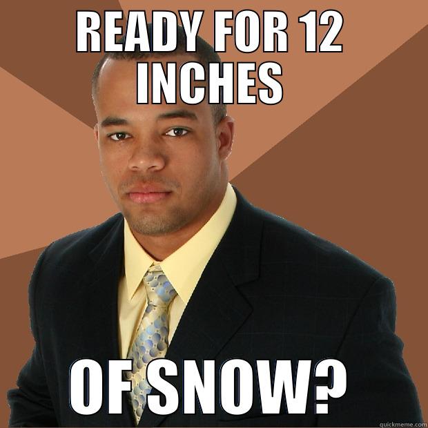 READY FOR 12 INCHES OF SNOW? Successful Black Man