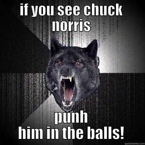 IF YOU SEE CHUCK NORRIS PUNH HIM IN THE BALLS! Insanity Wolf