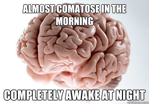 almost comatose in the morning completely awake at night  Scumbag Brain