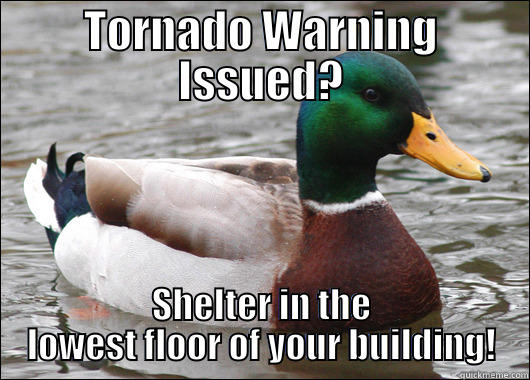 TORNADO WARNING ISSUED? SHELTER IN THE LOWEST FLOOR OF YOUR BUILDING! Actual Advice Mallard