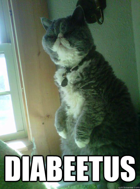  Diabeetus  Diabeetus Cat