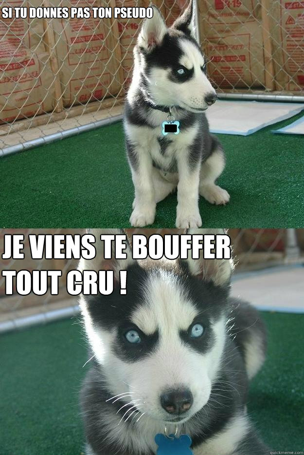 Si tu donnes pas ton pseudo Je viens te bouffer tout cru !  Insanity puppy