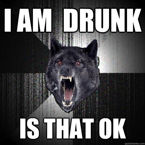 i am  drunk is that ok   Insanity Wolf