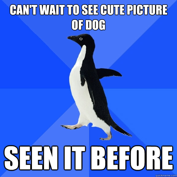 can't wait to see cute picture of dog seen it before  Socially Awkward Penguin