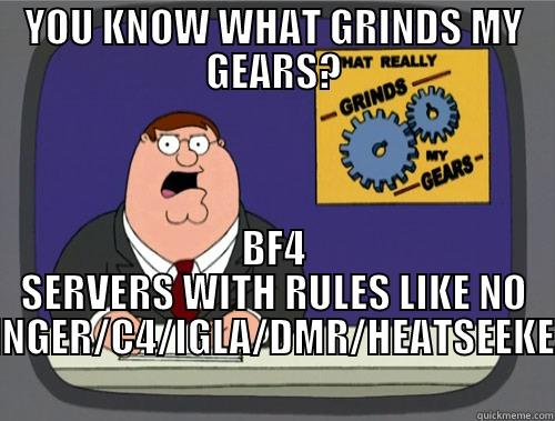 YOU KNOW WHAT GRINDS MY GEARS? BF4 SERVERS WITH RULES LIKE NO STINGER/C4/IGLA/DMR/HEATSEEKERS Grinds my gears