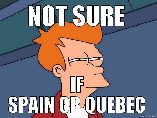 NOT SURE IF SPAIN OR QUEBEC Futurama Fry