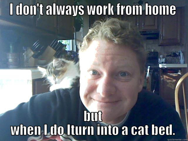 I DON'T ALWAYS WORK FROM HOME BUT WHEN I DO ITURN INTO A CAT BED. Misc