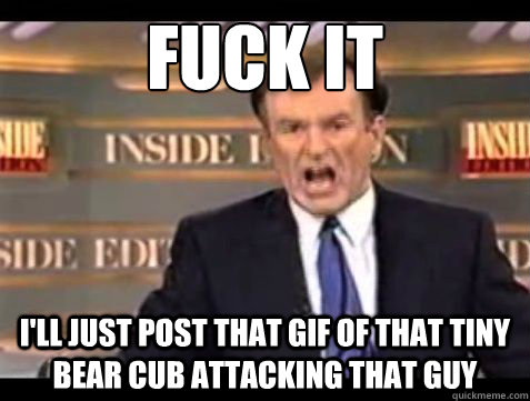 Fuck it i'll just post that gif of that tiny bear cub attacking that guy - Fuck it i'll just post that gif of that tiny bear cub attacking that guy  Misc