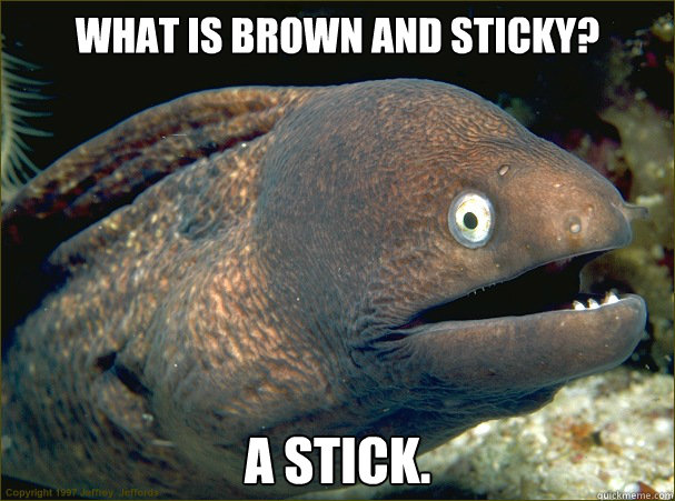 What is brown and sticky? A stick.  Bad Joke Eel