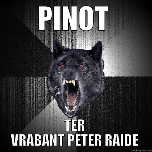 PINOT TER VRABANT PETER RAIDE Insanity Wolf