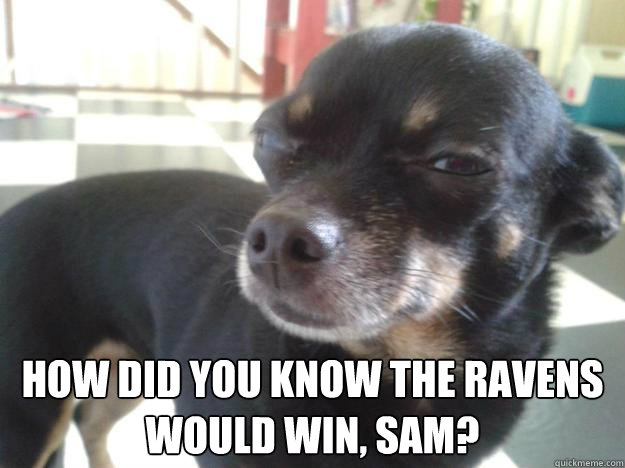  How did you know the ravens would win, Sam? -  How did you know the ravens would win, Sam?  Misc