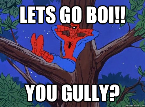 Lets go Boi!! You Gully?   Spider man