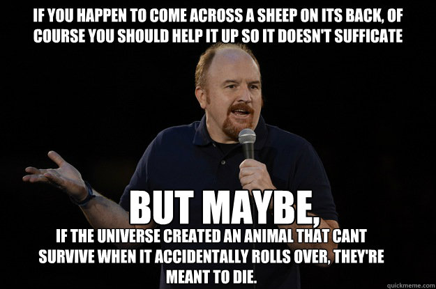 if you happen to come across a sheep on its back, of course you should help it up so it doesn't Sufficate But maybe, If the universe created an animal that cant survive when it accidentally rolls over, they're meant to die.  