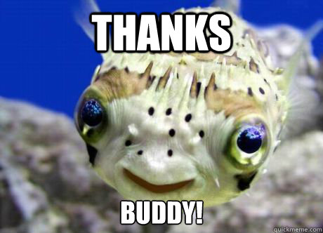 Thanks  Buddy!  Polite Laugh Pufferfish