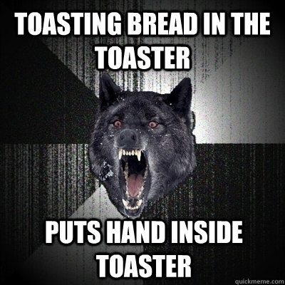 TOASTING BREAD IN THE TOASTER PUTS HAND INSIDE TOASTER   Insanity Wolf