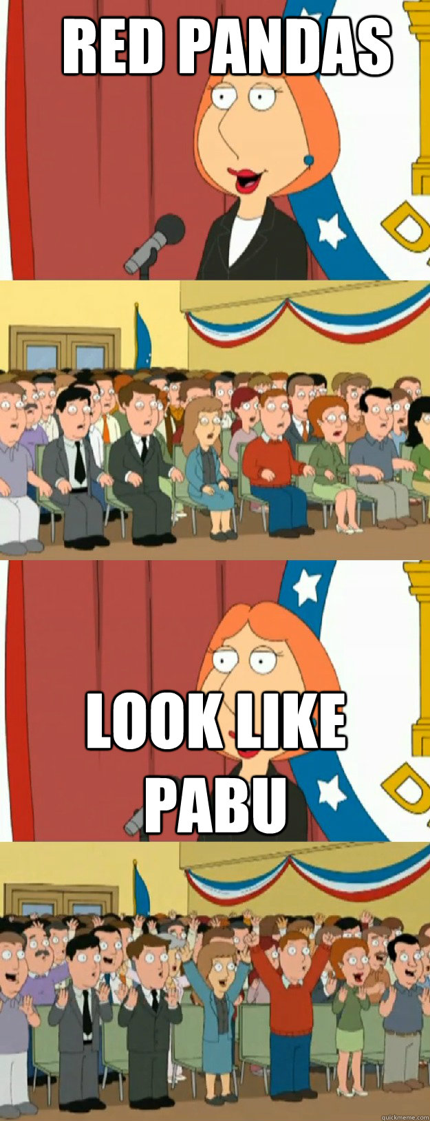 Red Pandas Look Like Pabu  Lois Griffin