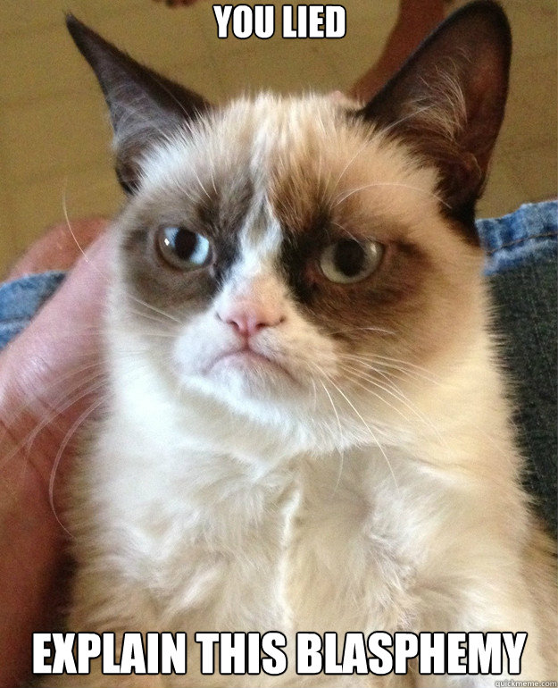 You lied Explain this blasphemy  - You lied Explain this blasphemy   Grumpy Cat