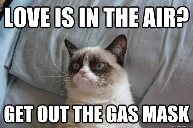 Love is in the air? Get out the gas mask  Grumpy Cat