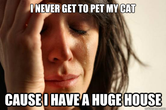 I never get to pet my cat cause i have a huge house  First World Problems