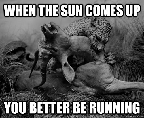 when the sun comes up you better be running - when the sun comes up you better be running  Misc
