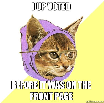 i up voted before it was on the front page  Hipster Kitty