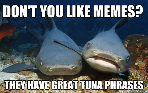 don't you like memes? they have great tuna phrases  Compassionate Shark Friend