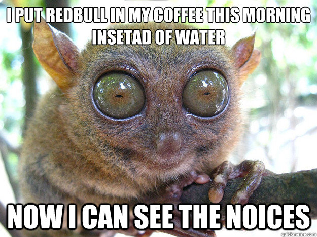 i put redbull in my coffee this morning
insetad of water now i can see the noices - i put redbull in my coffee this morning
insetad of water now i can see the noices  Tarsier