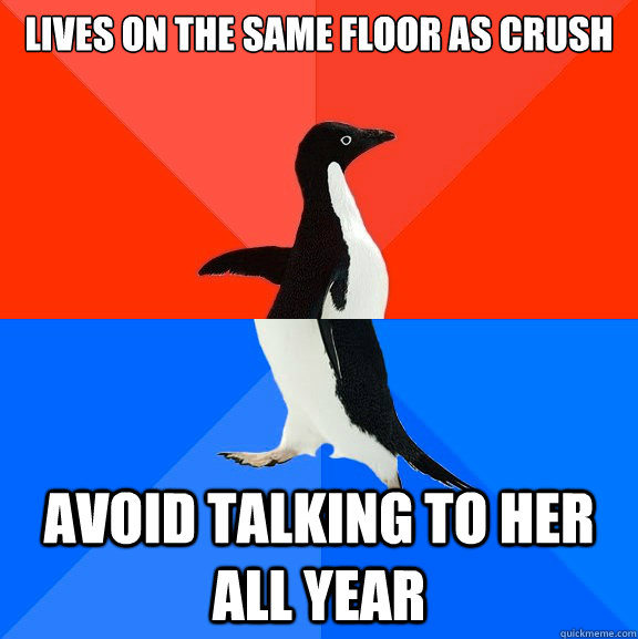 Lives on the same floor as crush avoid talking to her all year  Socially Awesome Awkward Penguin