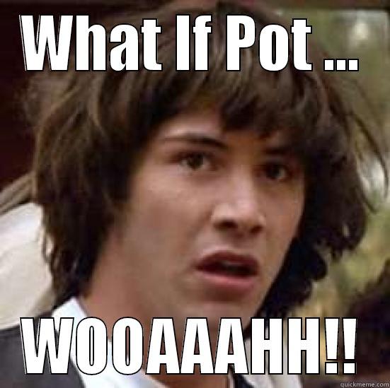 WHAT IF POT ... WOOAAAHH!! conspiracy keanu