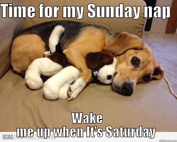 TIME FOR MY SUNDAY NAP   WAKE ME UP WHEN IT'S SATURDAY  Misc