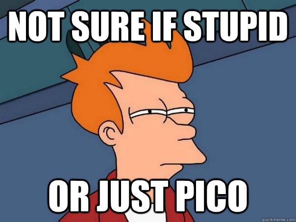 Not sure if stupid Or just pico  Futurama Fry