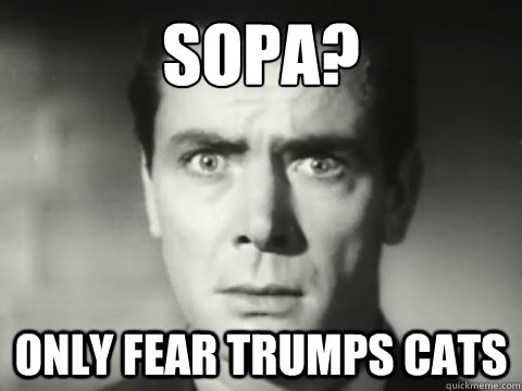 Sopa? Only fear trumps cats - Sopa? Only fear trumps cats  fear man