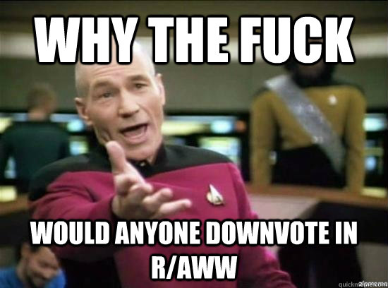 Why the fuck Would anyone downvote in r/aww  Annoyed Picard HD