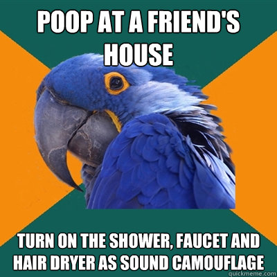 Poop at a friend's house turn on the shower, faucet and hair dryer as sound camouflage  - Poop at a friend's house turn on the shower, faucet and hair dryer as sound camouflage   Paranoid Parrot
