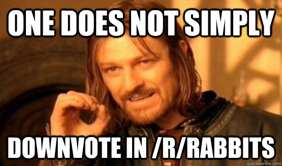 One Does Not Simply downvote in /r/Rabbits - One Does Not Simply downvote in /r/Rabbits  Boromir Fact 420