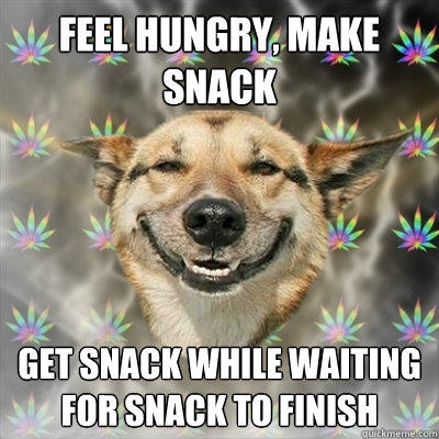 Feel hungry, make snack get snack while waiting for snack to finish  Stoner Dog