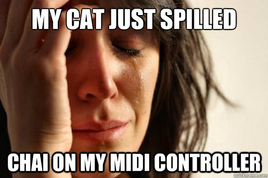 My cat JUST SPILLED CHAI ON MY MIDI CONTROLLER  First World Problems