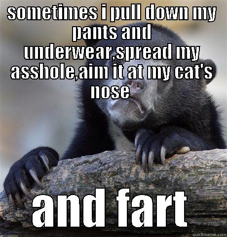 SOMETIMES I PULL DOWN MY PANTS AND UNDERWEAR,SPREAD MY ASSHOLE,AIM IT AT MY CAT'S NOSE  AND FART Confession Bear