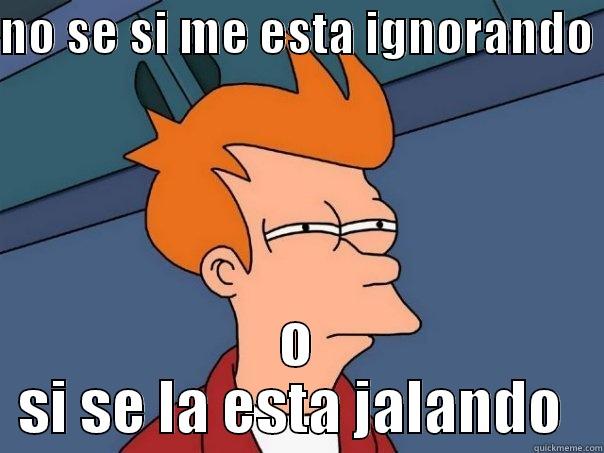 NO SE SI ME ESTA IGNORANDO  O SI SE LA ESTA JALANDO  Futurama Fry