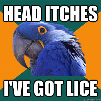 Head itches I've got lice  Paranoid Parrot