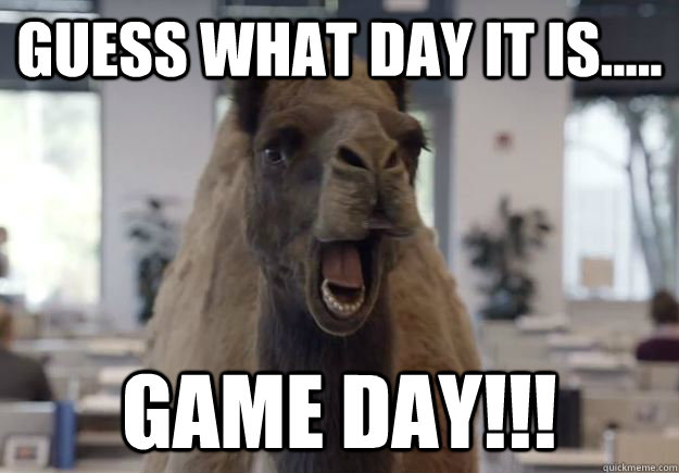 GUESS WHAT DAY IT IS..... GAME DAY!!!  Geico Camel Hump Day