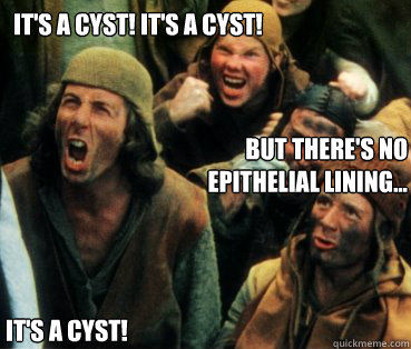 It's a cyst! It's a cyst! But there's no epithelial lining... It's a cyst!  Monty Python