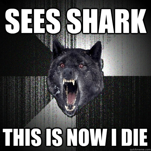 sees shark this is now i die  Insanity Wolf