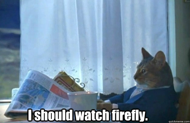 I should watch firefly.  Sophisticated Cat is broke