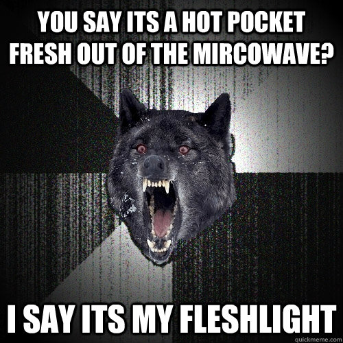 You say its a hot pocket fresh out of the mircowave? I say its my fleshlight - You say its a hot pocket fresh out of the mircowave? I say its my fleshlight  Insanity Wolf