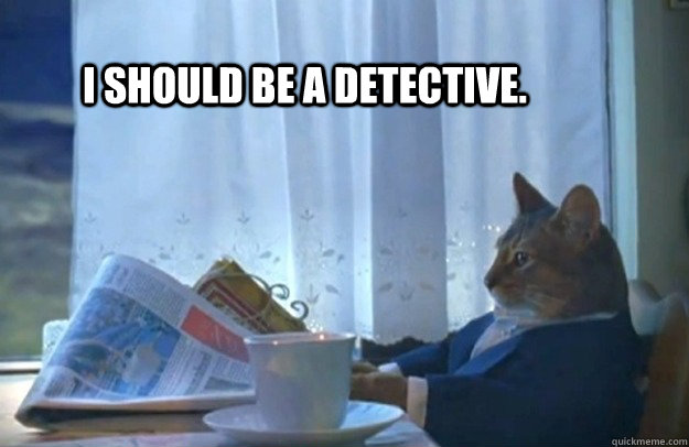 I should be a detective.  - I should be a detective.   Sophisticated Cat