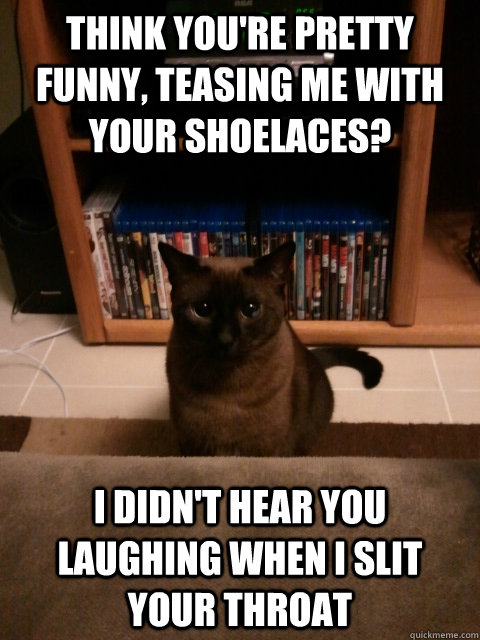 Think you're pretty funny, teasing me with your shoelaces? I didn't hear you laughing when I slit your throat  Sinister Cat